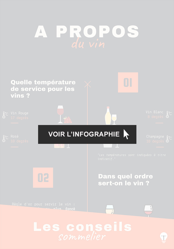 Infographie A propos du vin, comment le déguster ?