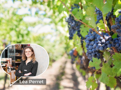 Les cépages incontournables à avoir dans sa cave à vin